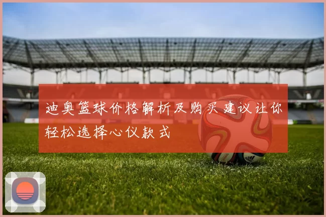 迪奥篮球价格解析及购买建议让你轻松选择心仪款式