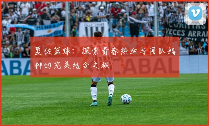 夏佐篮球：探索青春热血与团队精神的完美结合之旅