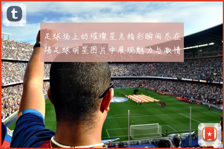 足球场上的璀璨星光精彩瞬间尽在踢足球明星图片中展现魅力与激情