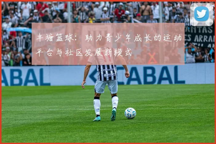 丰塘篮球：助力青少年成长的运动平台与社区发展新模式